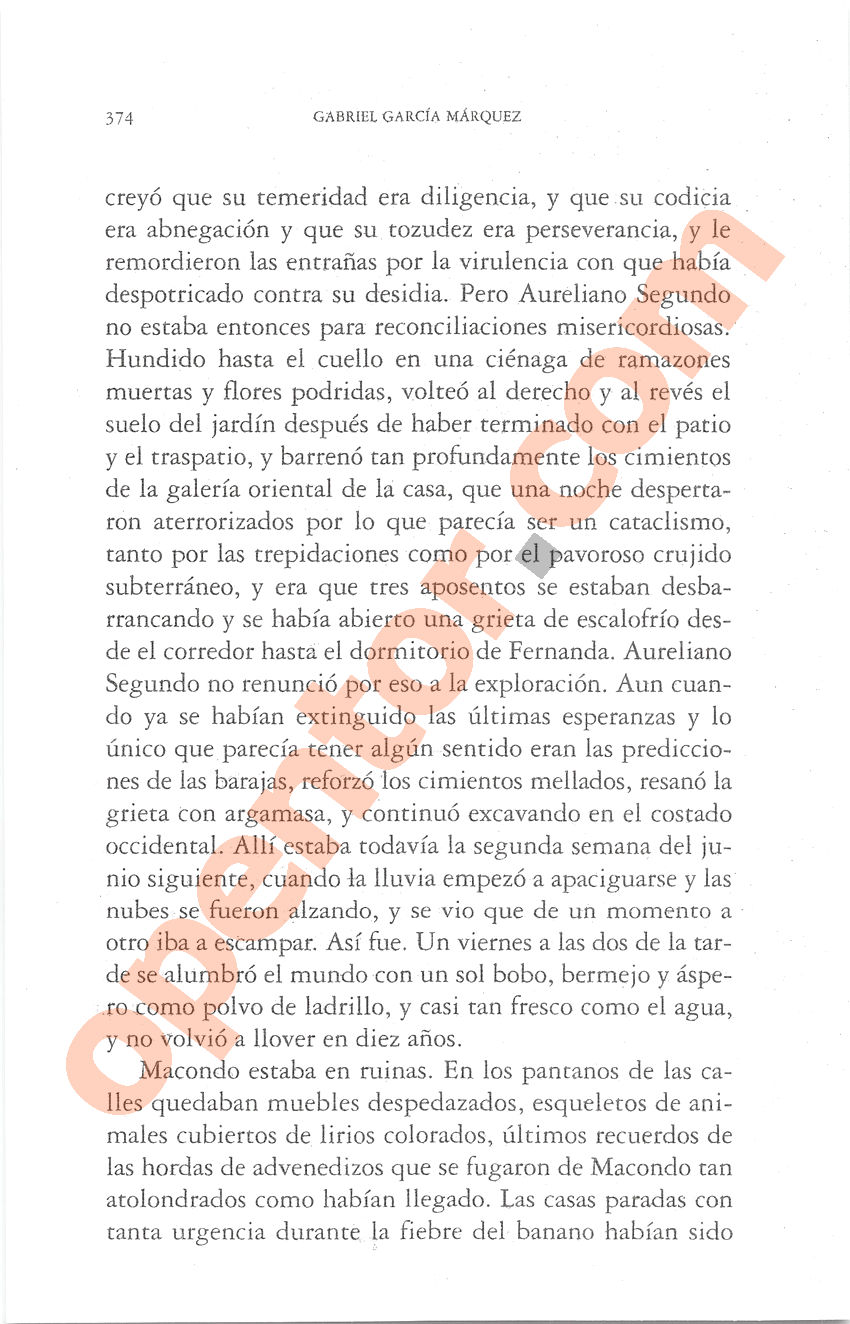Cien años de soledad de Gabriel García Márquez - Página 374