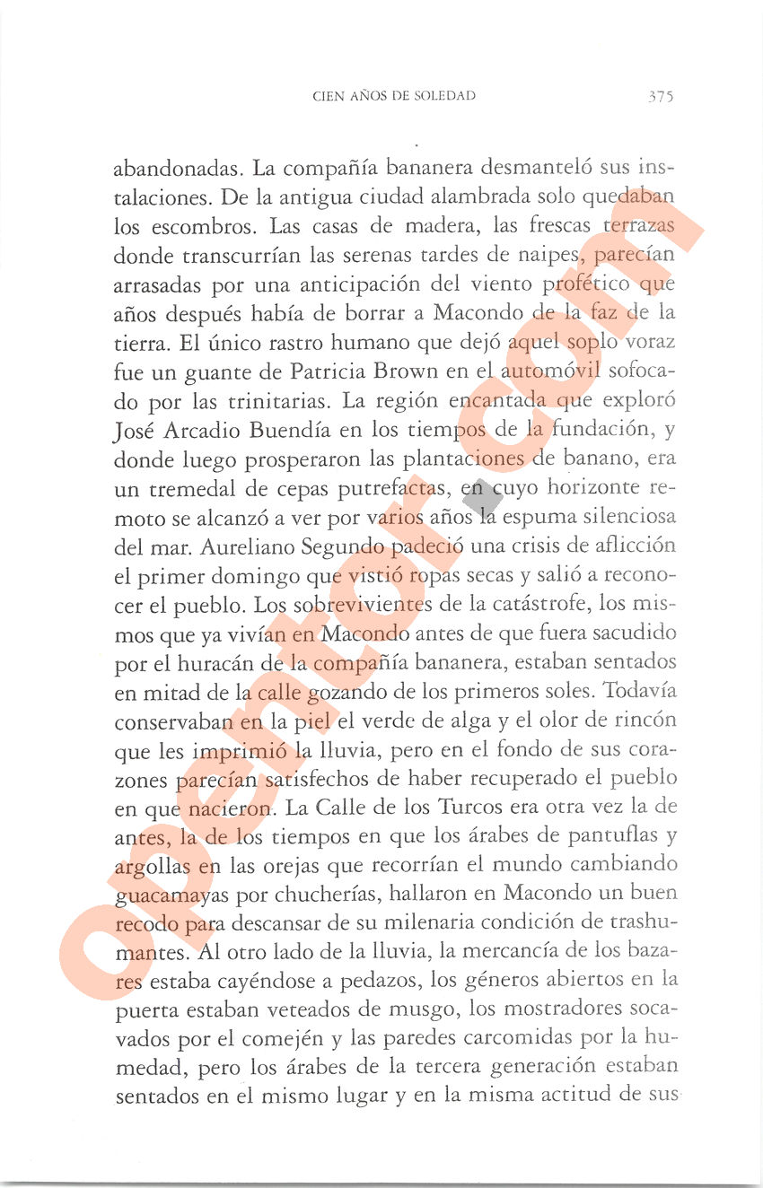 Cien años de soledad de Gabriel García Márquez - Página 375