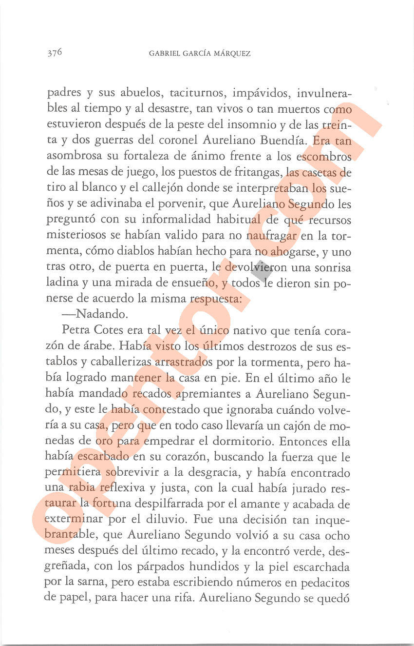 Cien años de soledad de Gabriel García Márquez - Página 376
