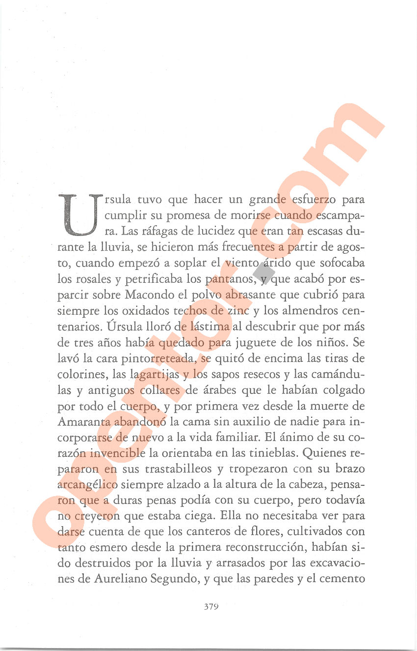 Cien años de soledad de Gabriel García Márquez - Página 379