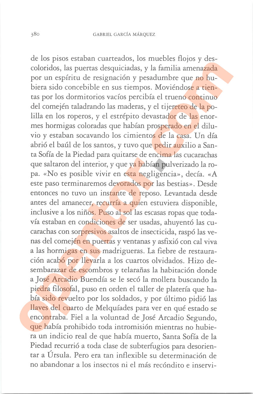 Cien años de soledad de Gabriel García Márquez - Página 380