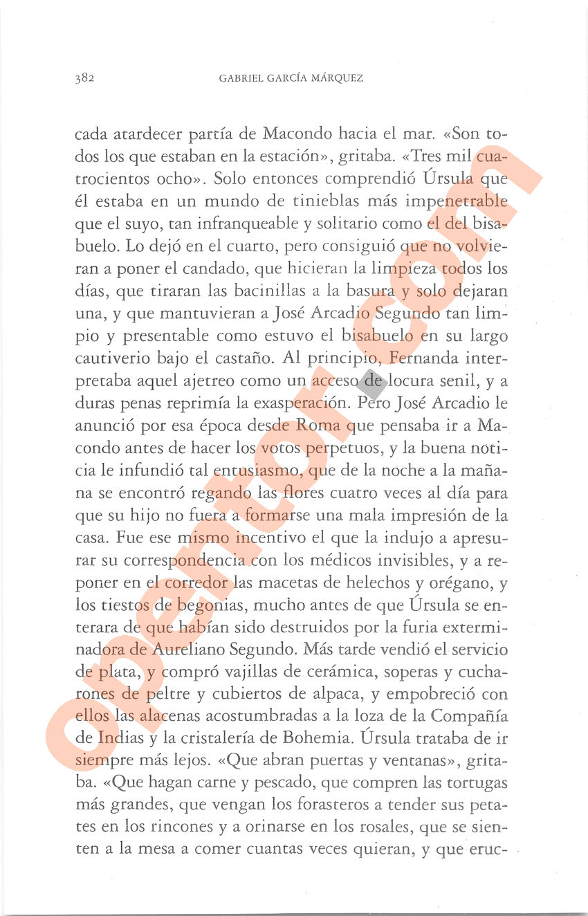 Cien años de soledad de Gabriel García Márquez - Página 382
