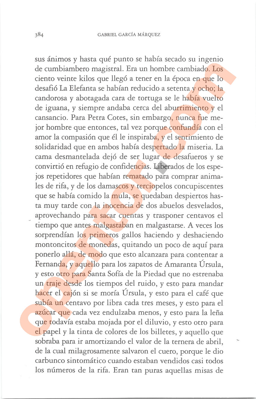 Cien años de soledad de Gabriel García Márquez - Página 384