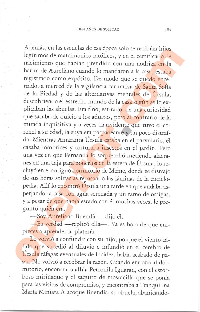 Cien años de soledad de Gabriel García Márquez - Página 387