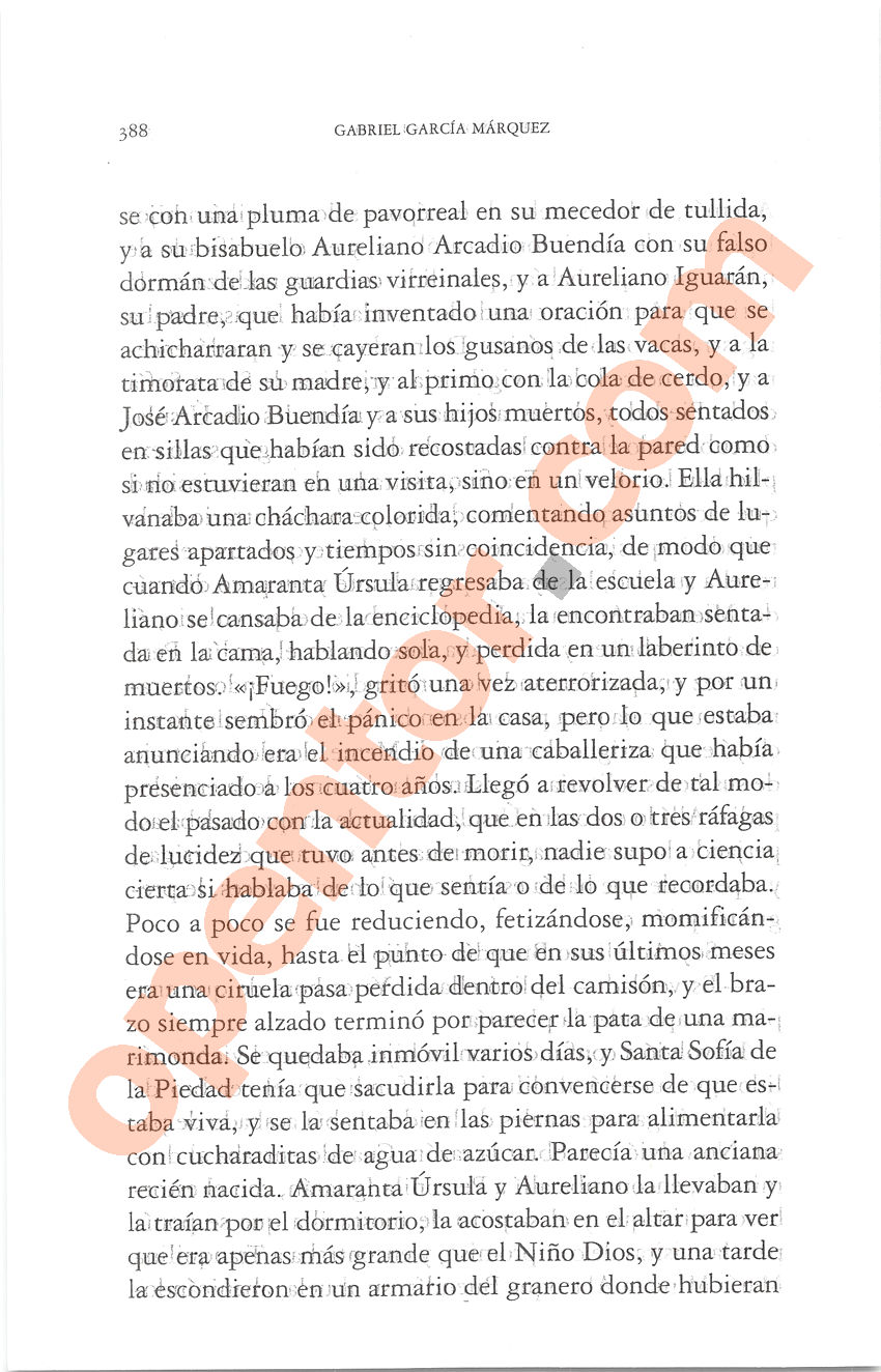 Cien años de soledad de Gabriel García Márquez - Página 388