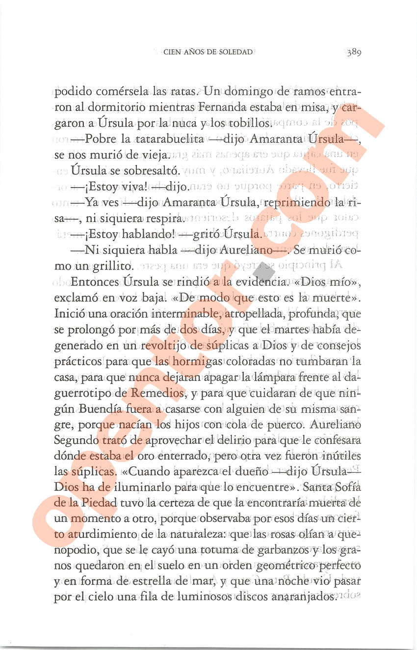 Cien años de soledad de Gabriel García Márquez - Página 389
