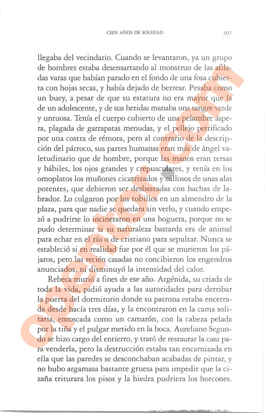 Cien años de soledad de Gabriel García Márquez - Página 391