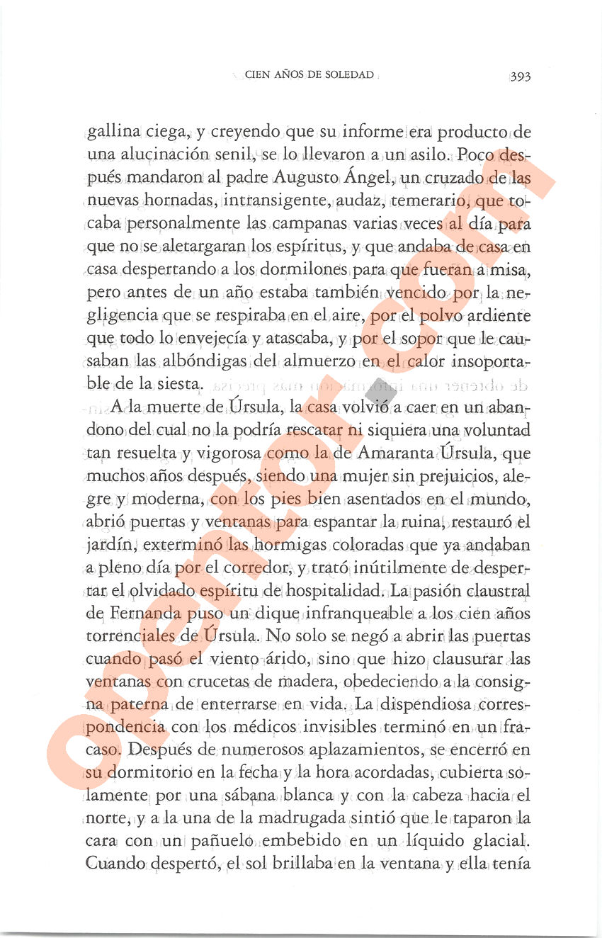 Cien años de soledad de Gabriel García Márquez - Página 393