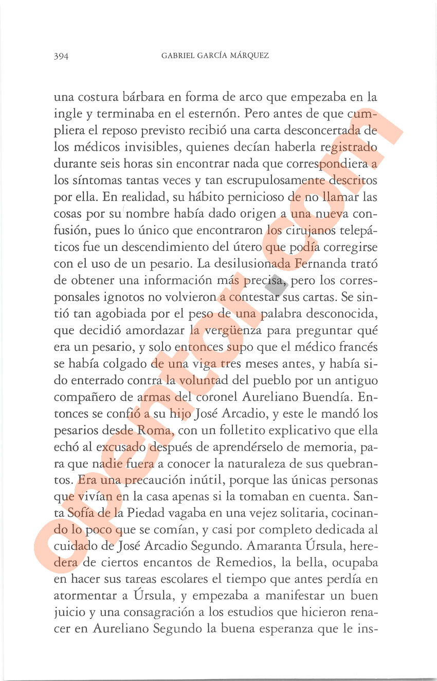 Cien años de soledad de Gabriel García Márquez - Página 394