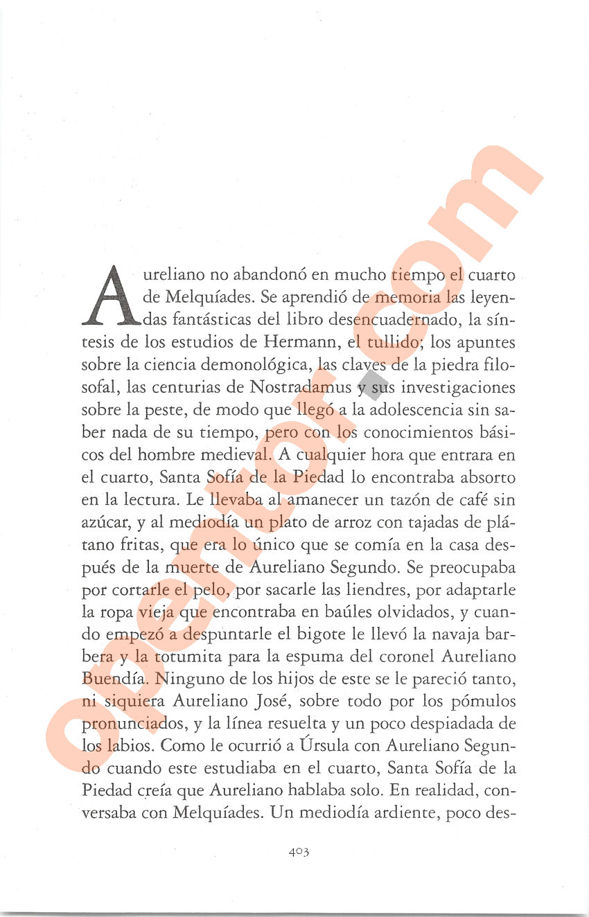 Cien años de soledad de Gabriel García Márquez - Página 403