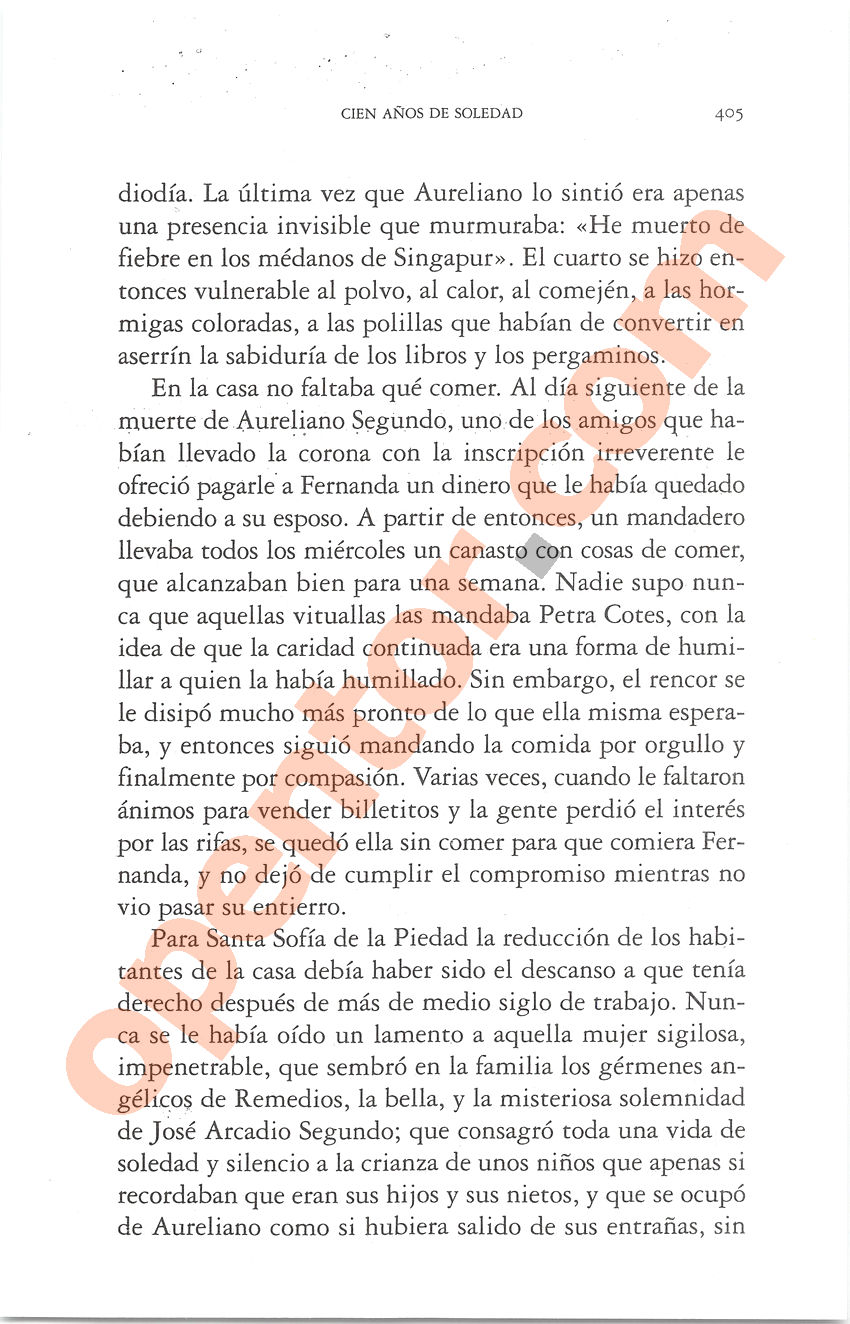 Cien años de soledad de Gabriel García Márquez - Página 405