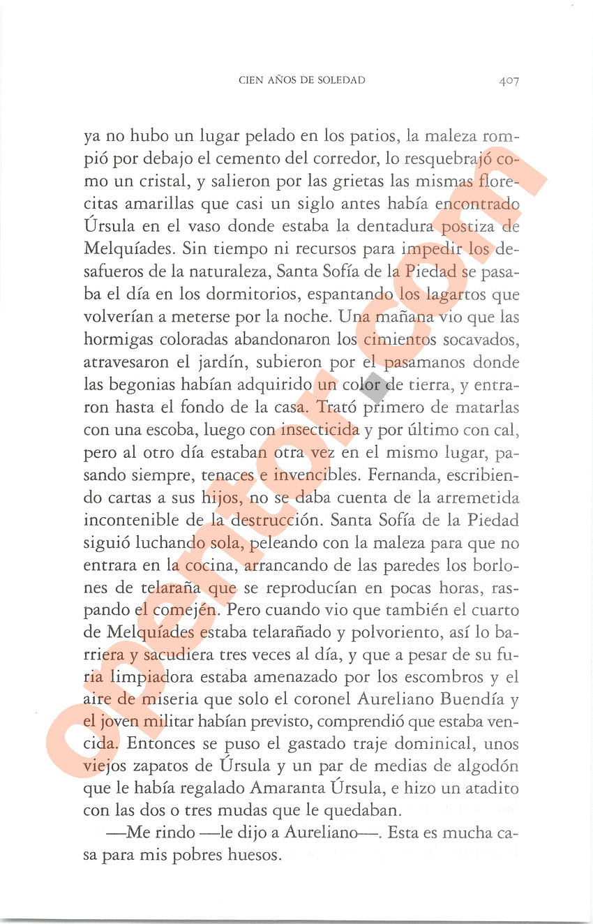 Cien años de soledad de Gabriel García Márquez - Página 407
