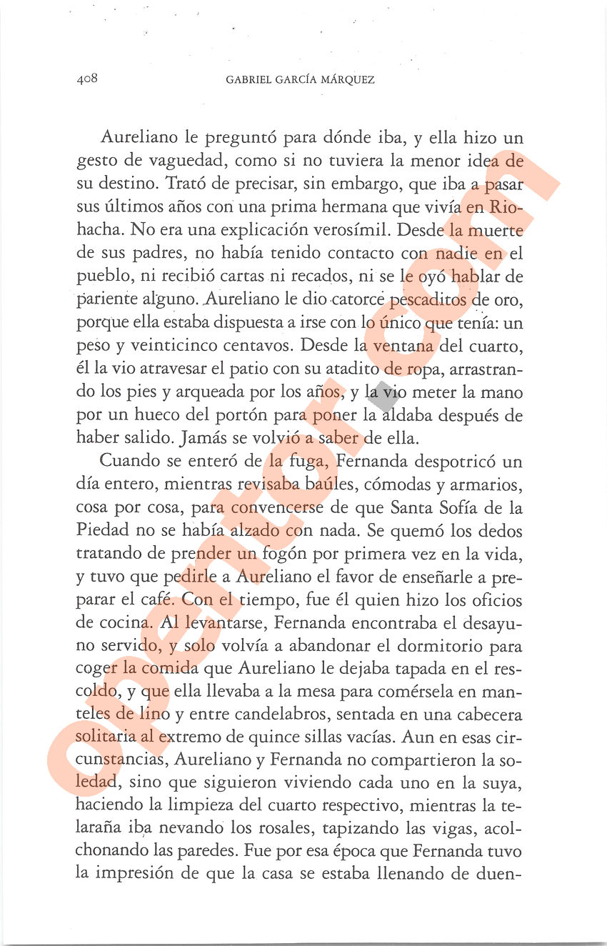 Cien años de soledad de Gabriel García Márquez - Página 408