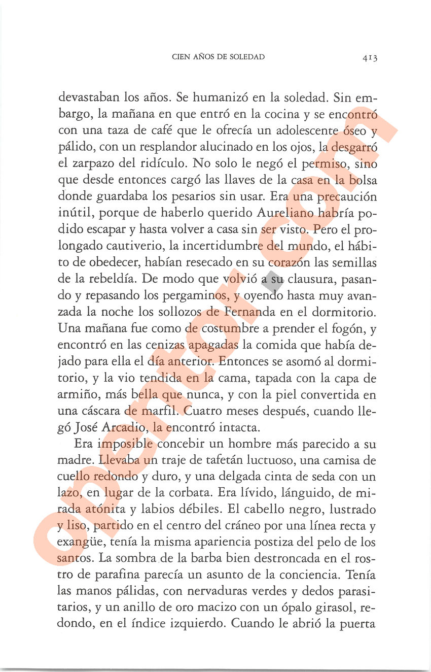 Cien años de soledad de Gabriel García Márquez - Página 413