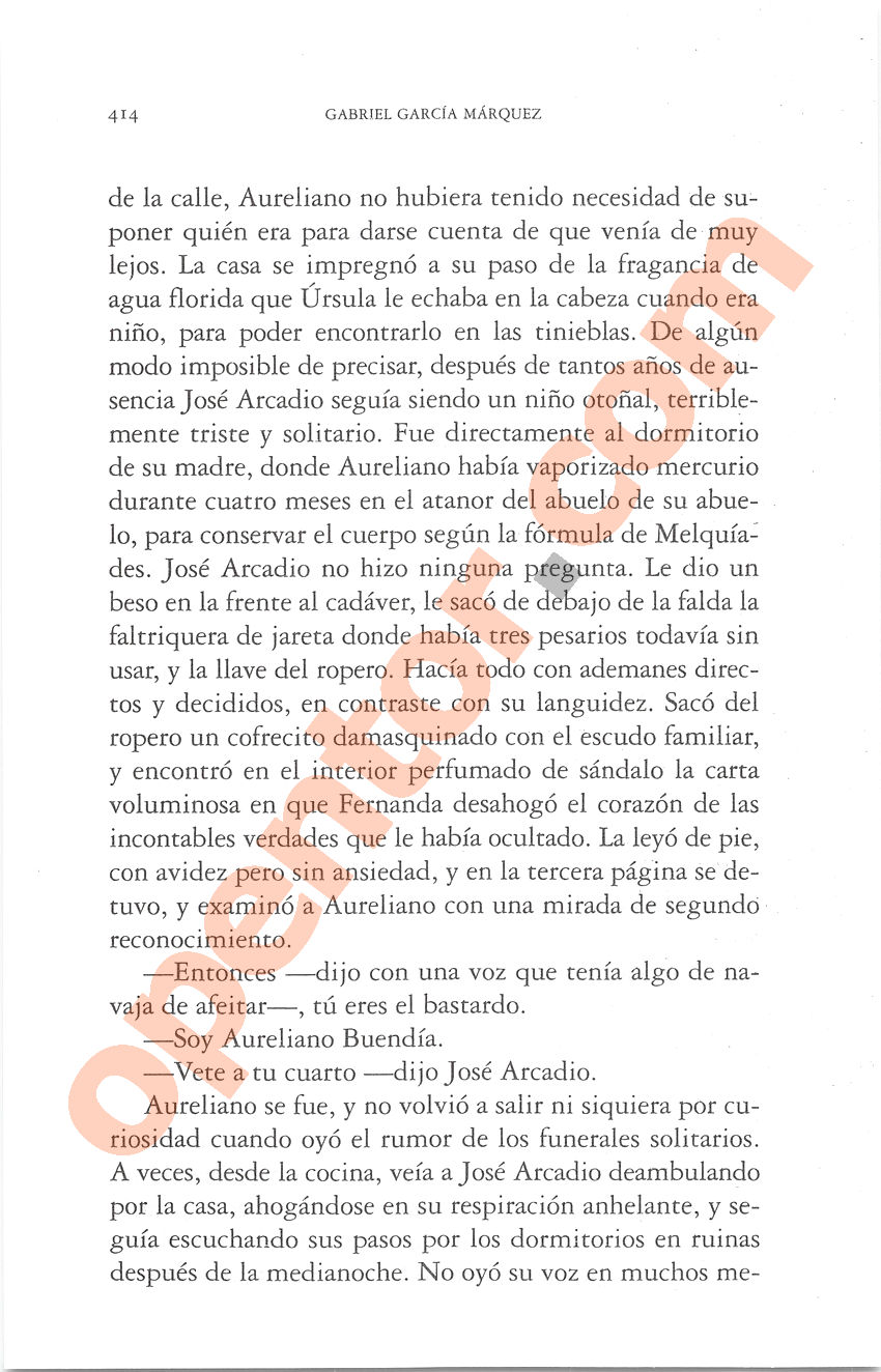 Cien años de soledad de Gabriel García Márquez - Página 414