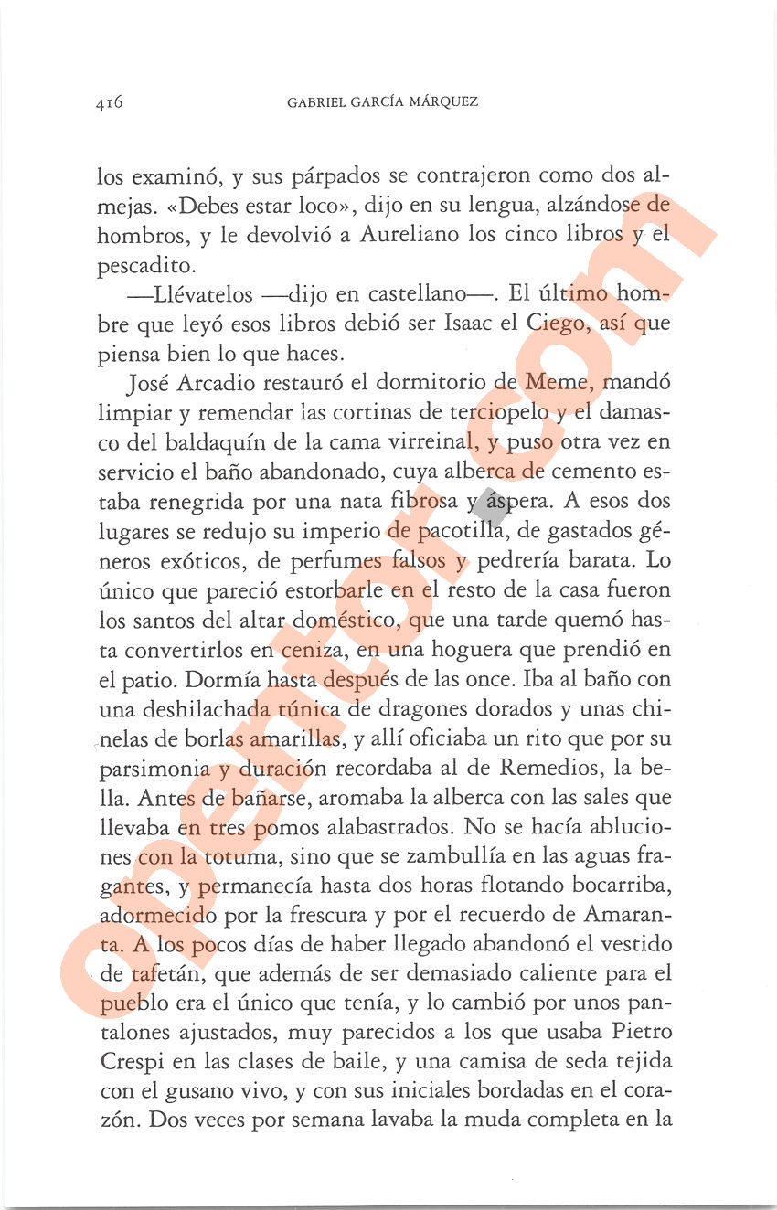 Cien años de soledad de Gabriel García Márquez - Página 416