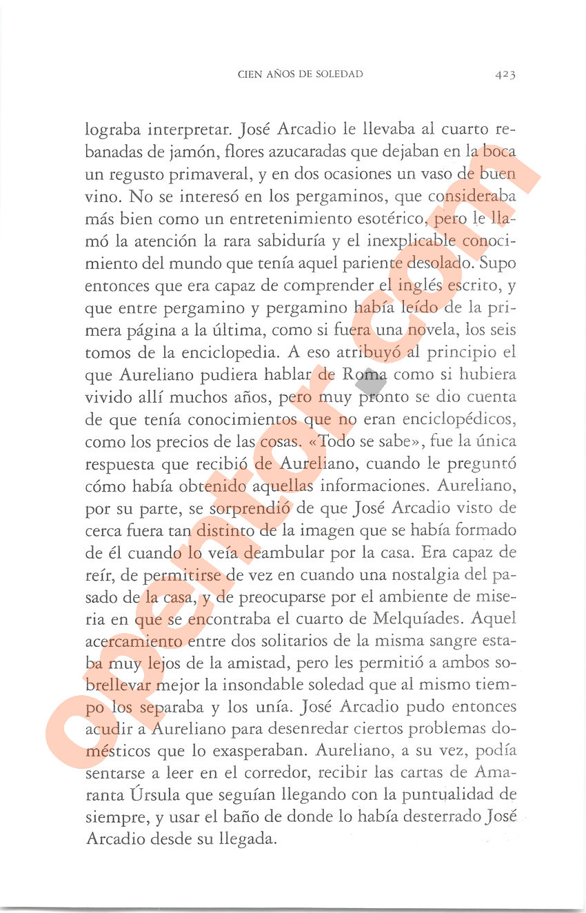 Cien años de soledad de Gabriel García Márquez - Página 423