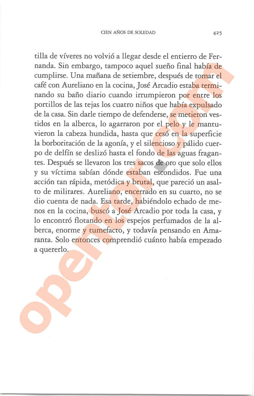 Cien años de soledad de Gabriel García Márquez - Página 425