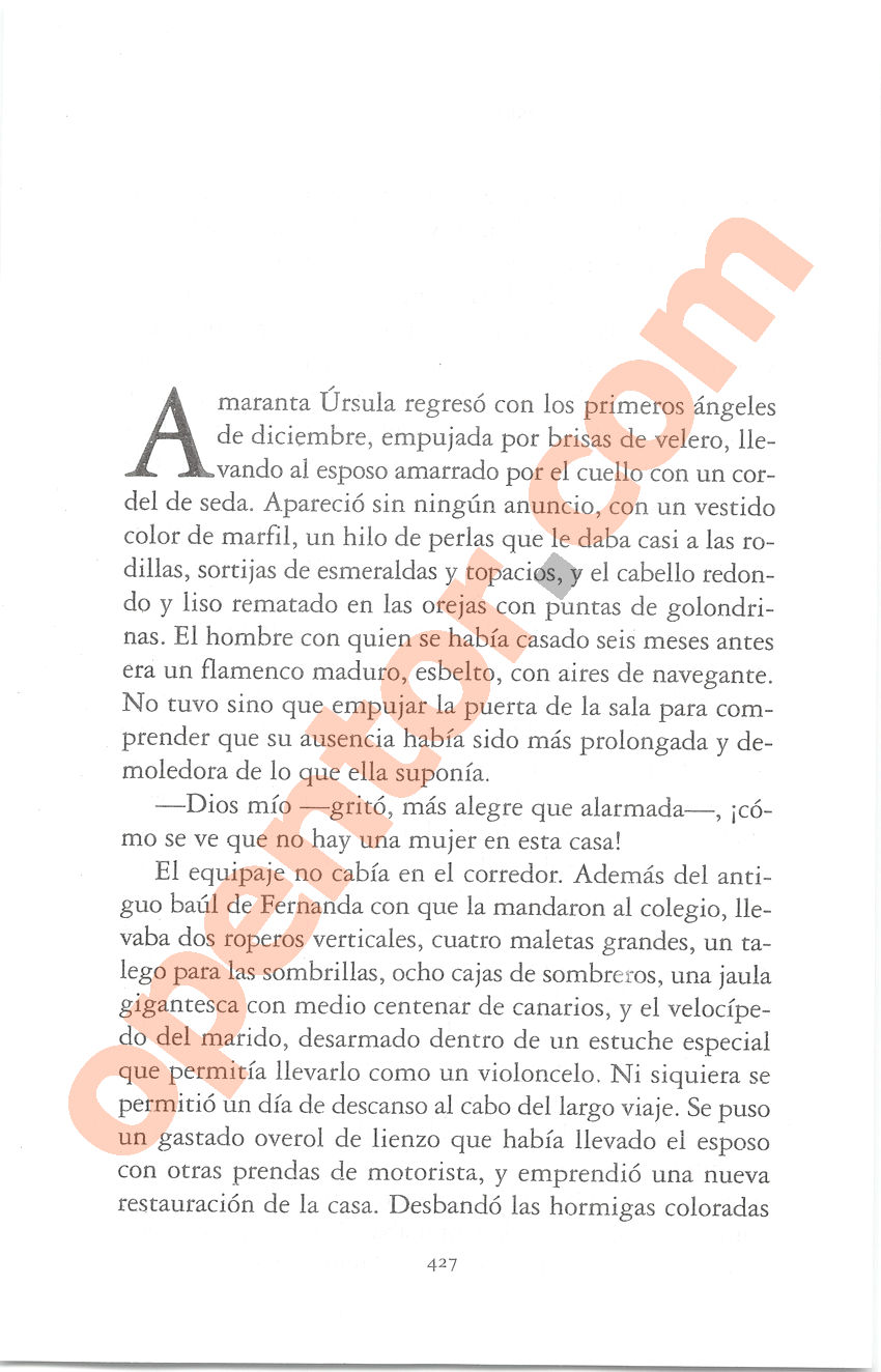 Cien años de soledad de Gabriel García Márquez - Página 427
