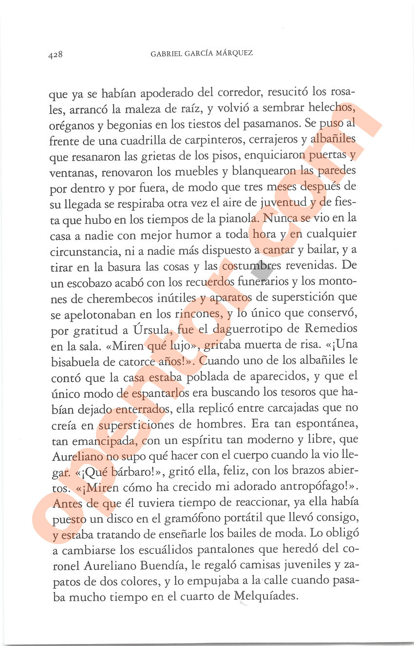 Cien años de soledad de Gabriel García Márquez - Página 428