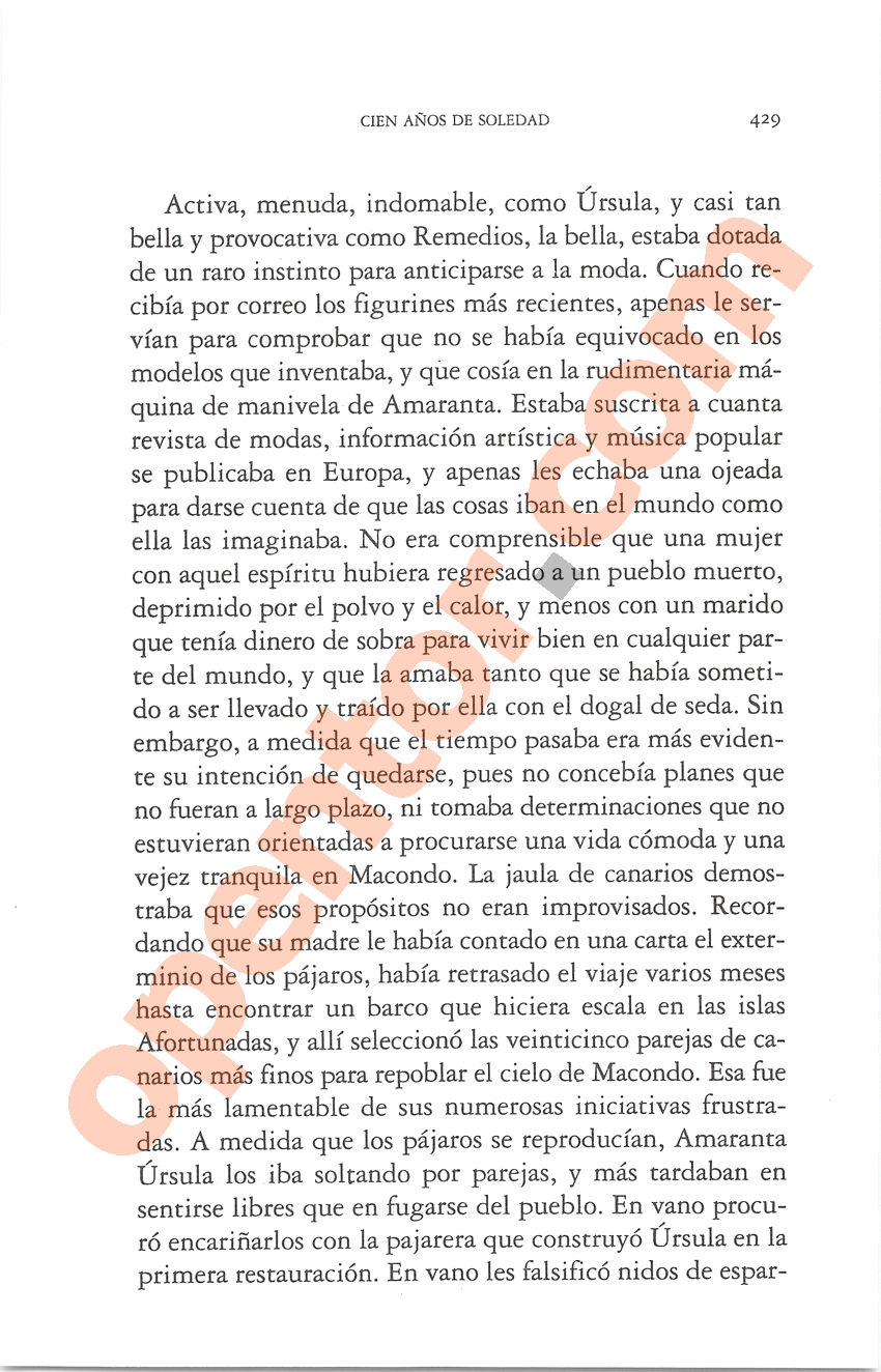 Cien años de soledad de Gabriel García Márquez - Página 429