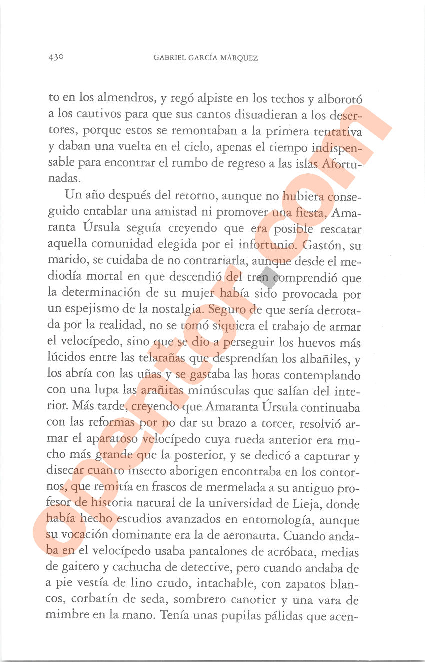 Cien años de soledad de Gabriel García Márquez - Página 430