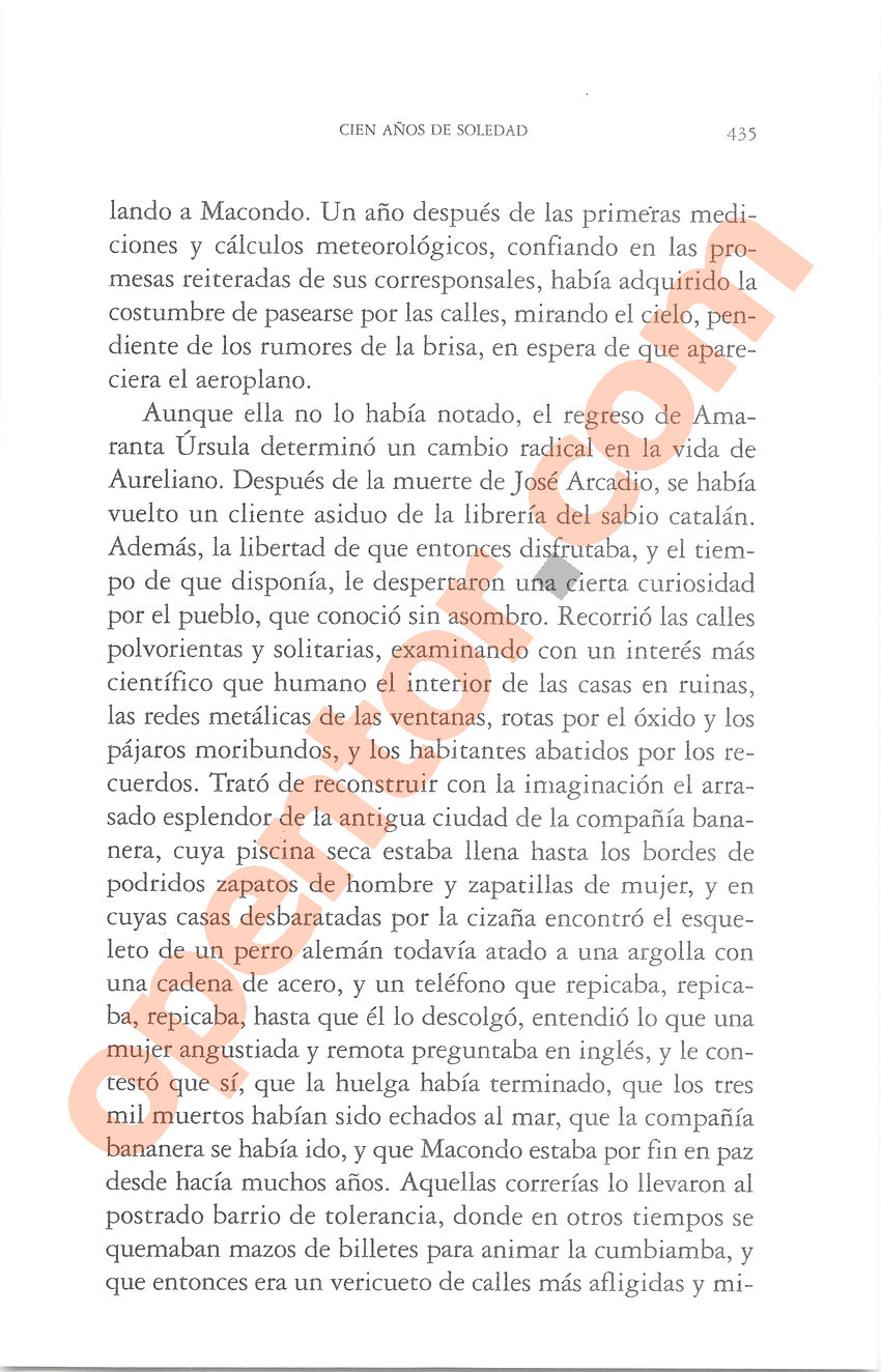 Cien años de soledad de Gabriel García Márquez - Página 435