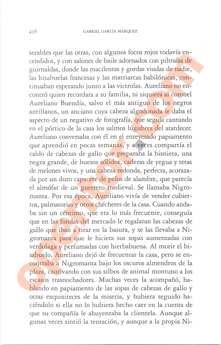 Cien años de soledad de Gabriel García Márquez - Página 436