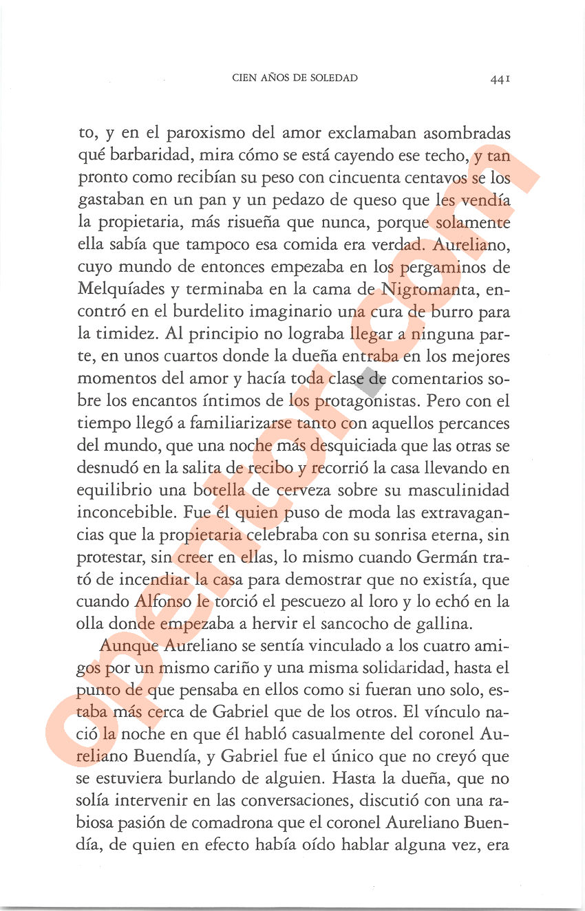 Cien años de soledad de Gabriel García Márquez - Página 441
