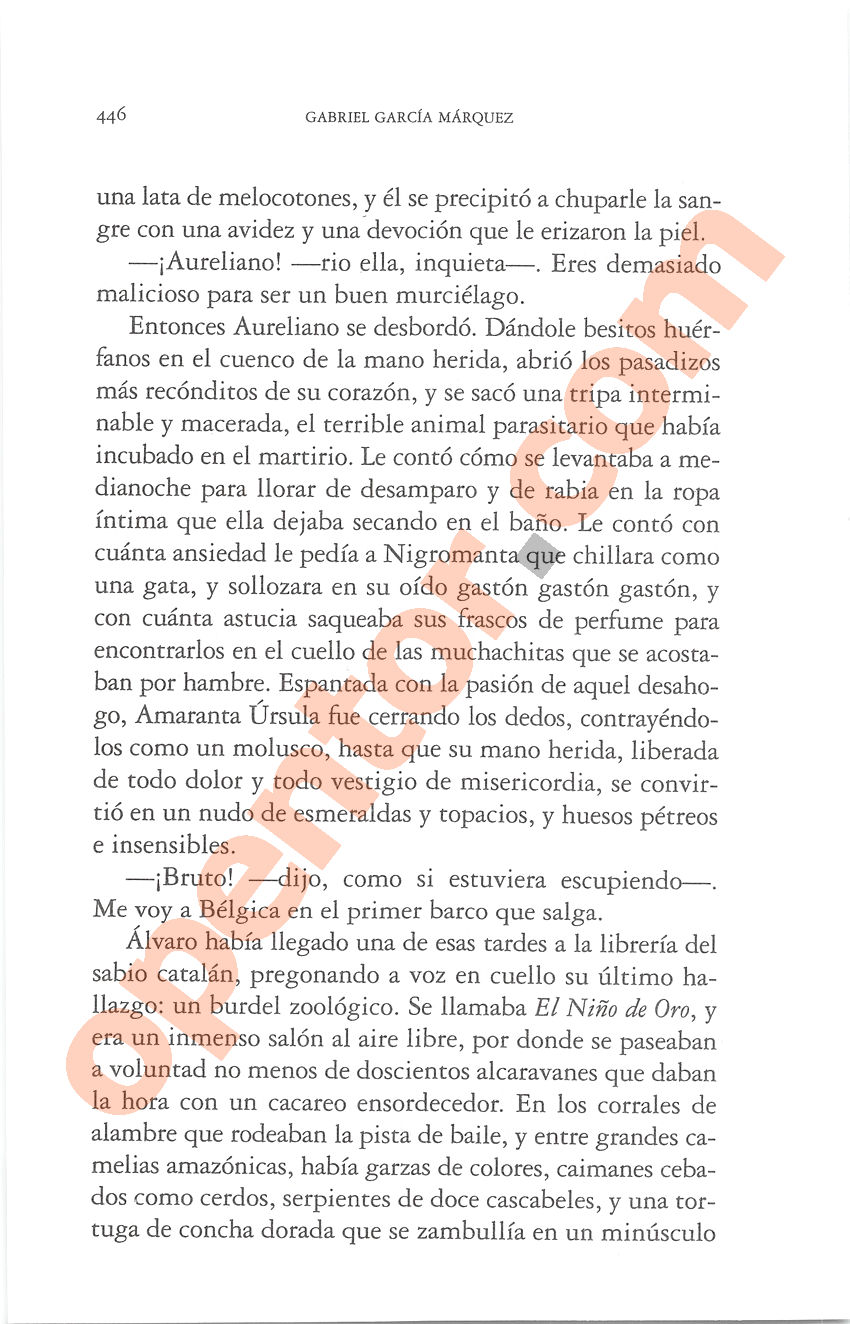 Cien años de soledad de Gabriel García Márquez - Página 446