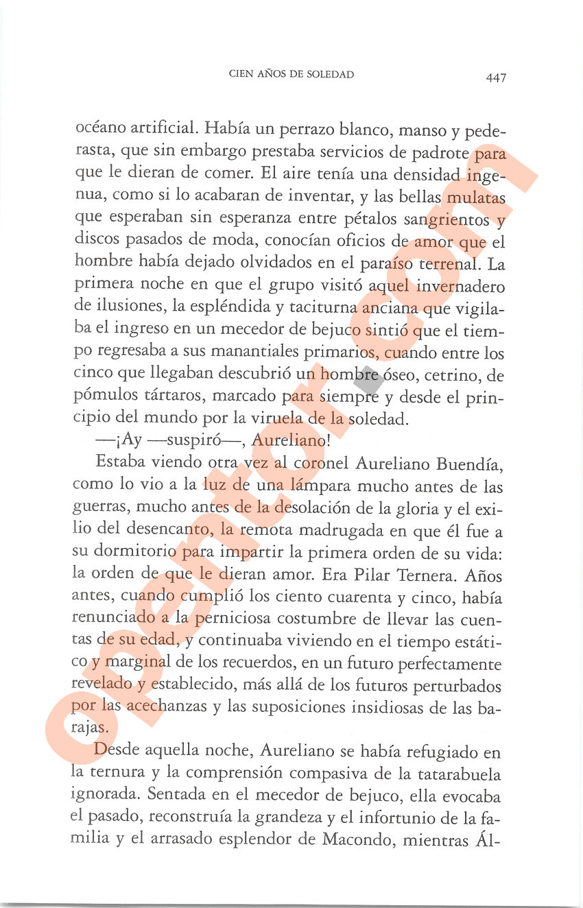 Cien años de soledad de Gabriel García Márquez - Página 447