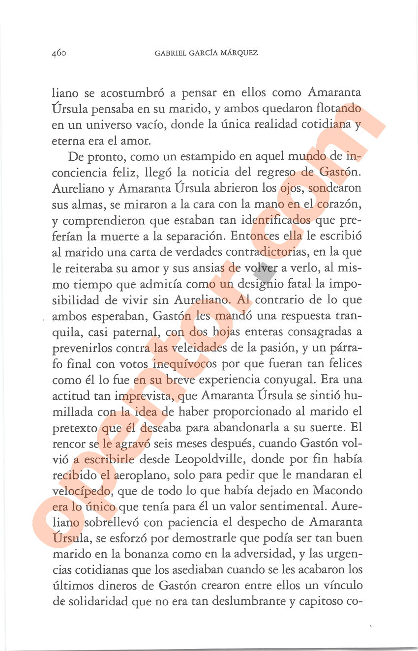 Cien años de soledad de Gabriel García Márquez - Página 460