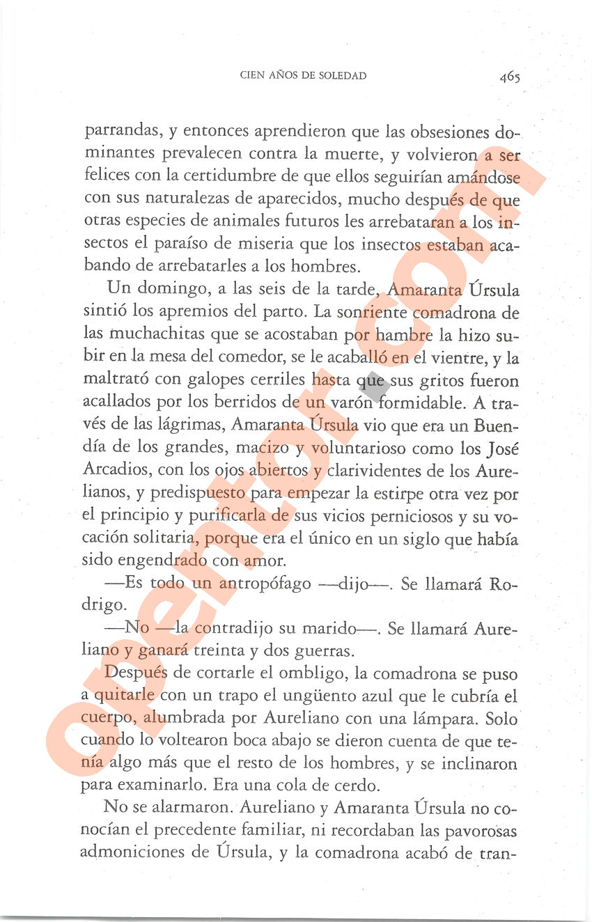 Cien años de soledad de Gabriel García Márquez - Página 465