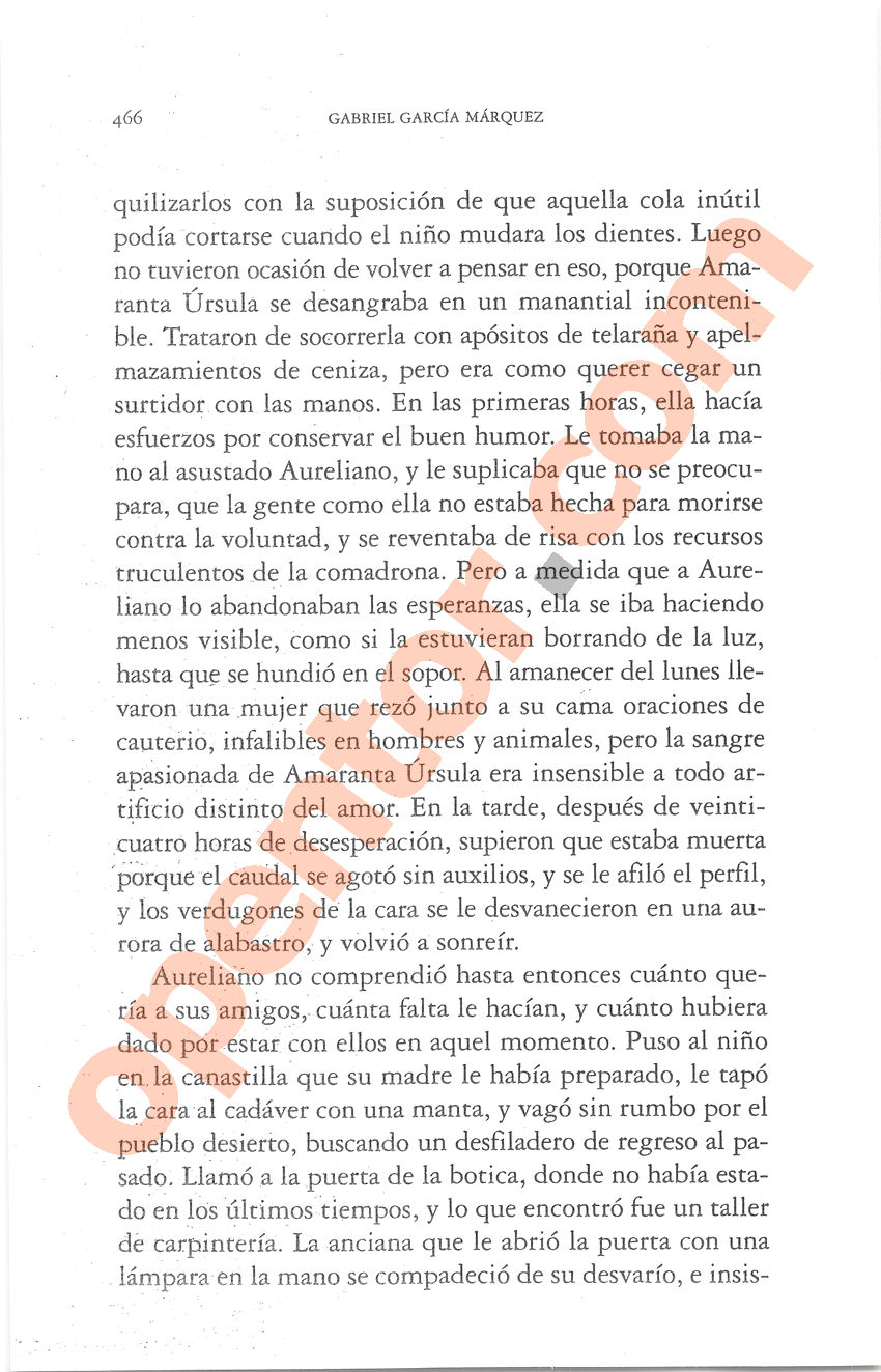 Cien años de soledad de Gabriel García Márquez - Página 466